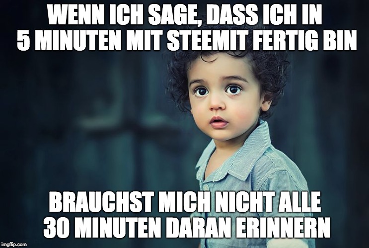 meme_steemitzeit.jpg