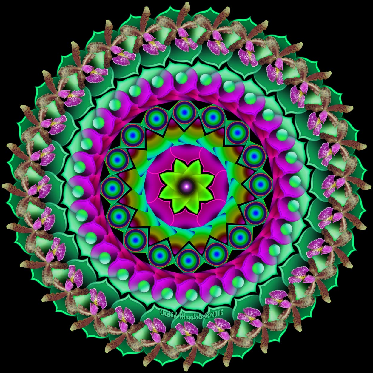 Daily_Focus-11-12-16.jpg
