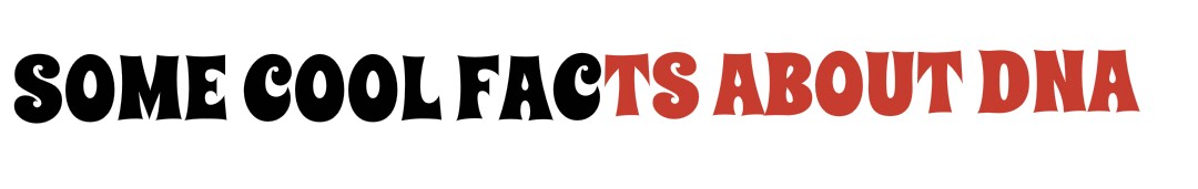 1498368974830.jpg