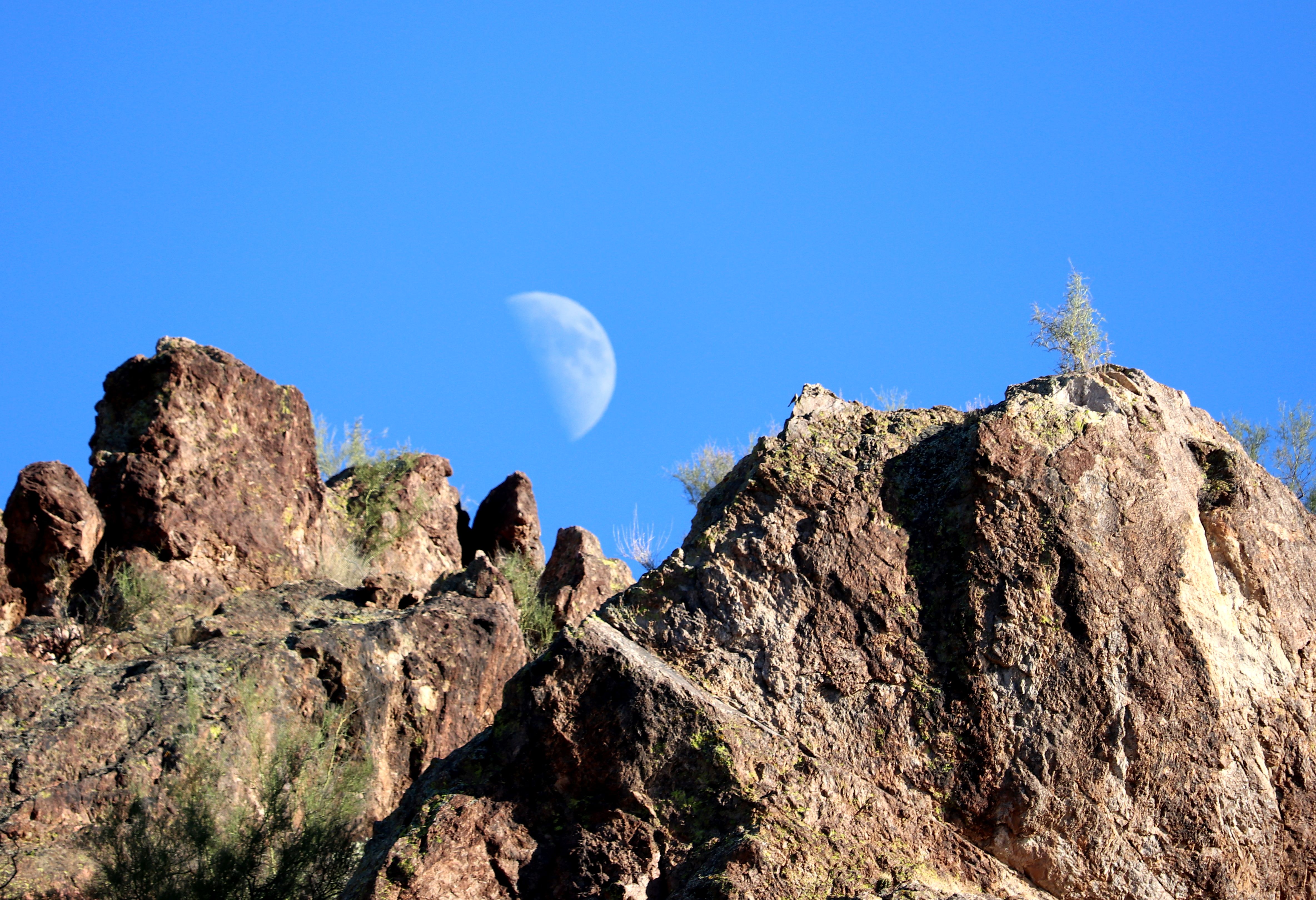 Arizona Moonrise.JPG