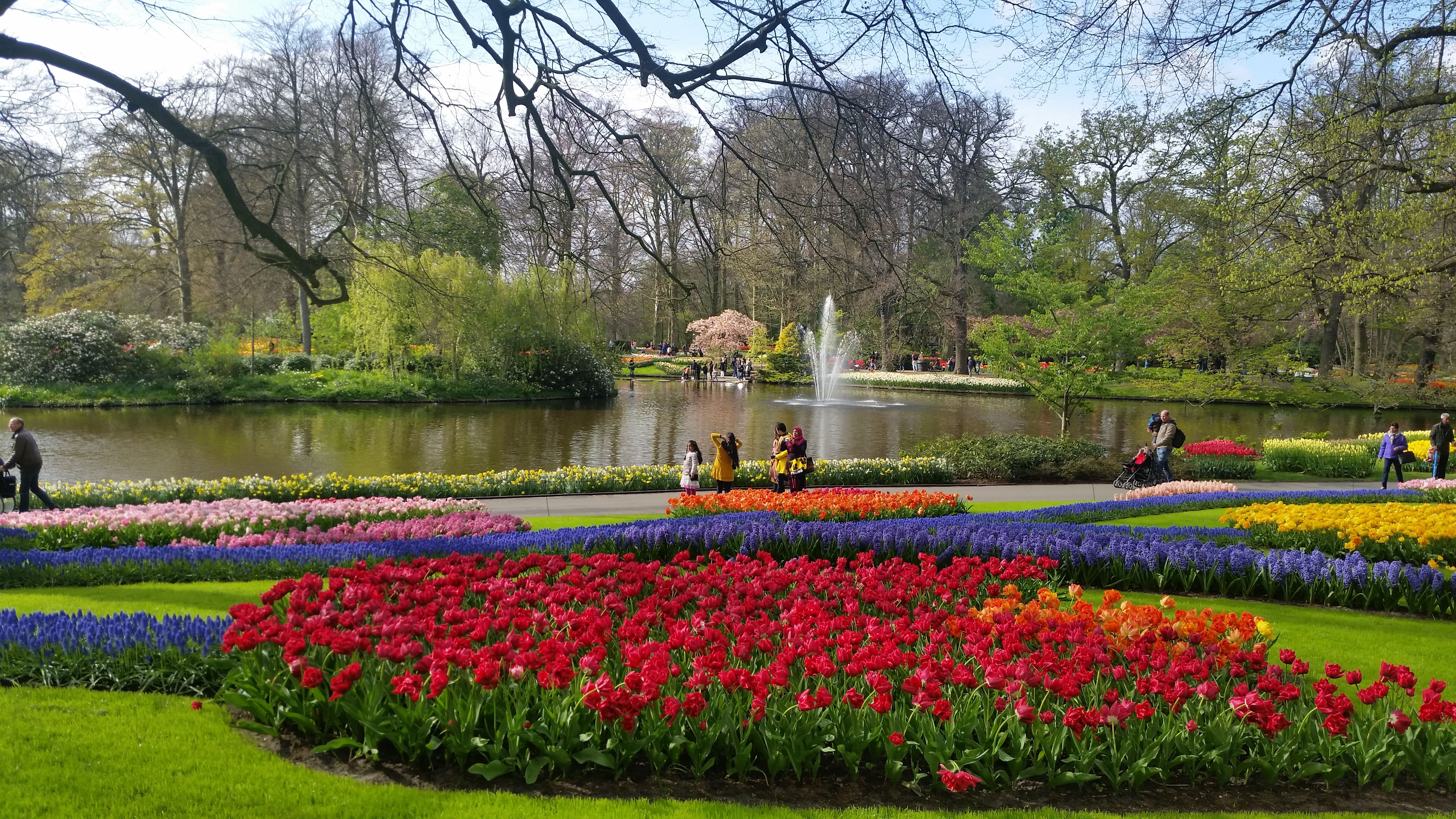 Keukenhof Park Netherlands The Most Beautiful Spring Garden In The