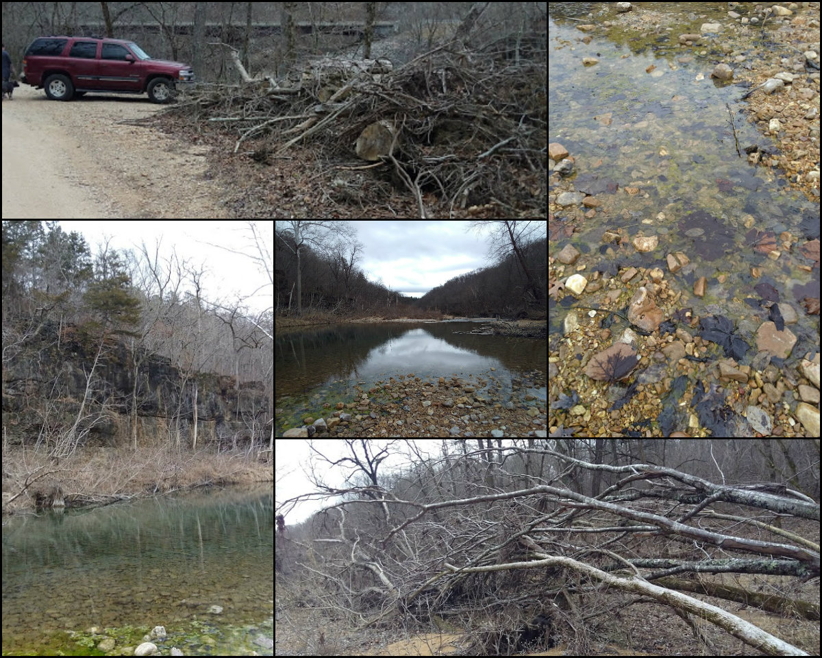 buck_collage3.jpg