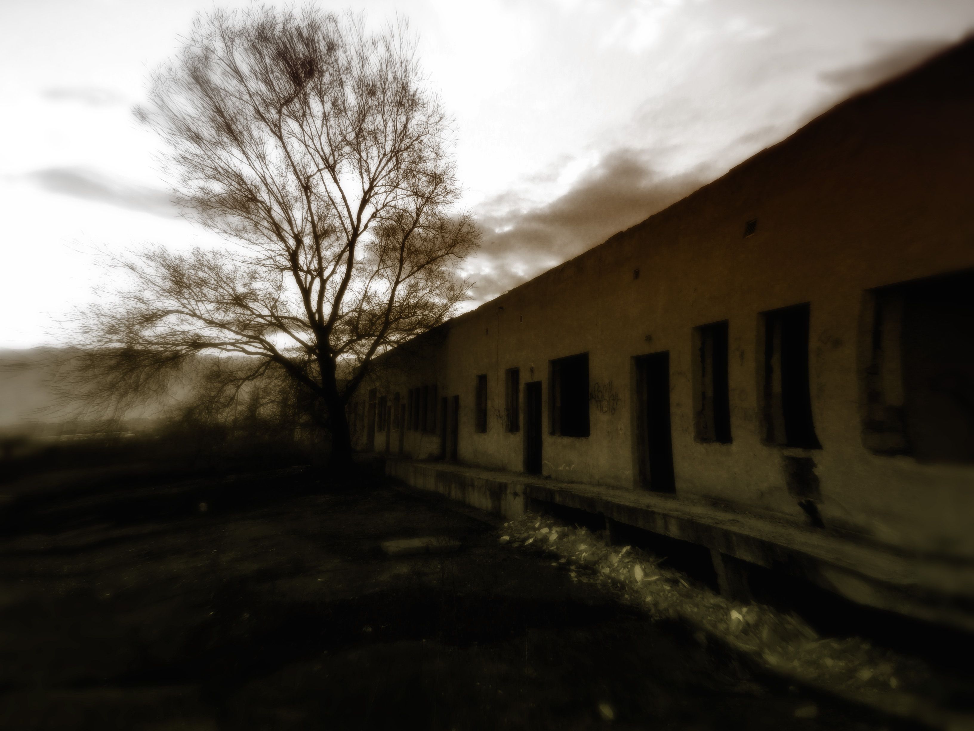 14818267324_c5660d2bbc_o (2).jpg