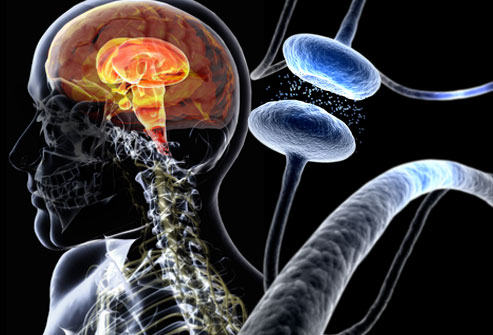 3d4medical_rm_photo_of_parkinsons_disease_composite.jpg