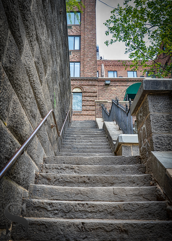 Wednesday walk Peter Detmold Park (3 of 5).jpg