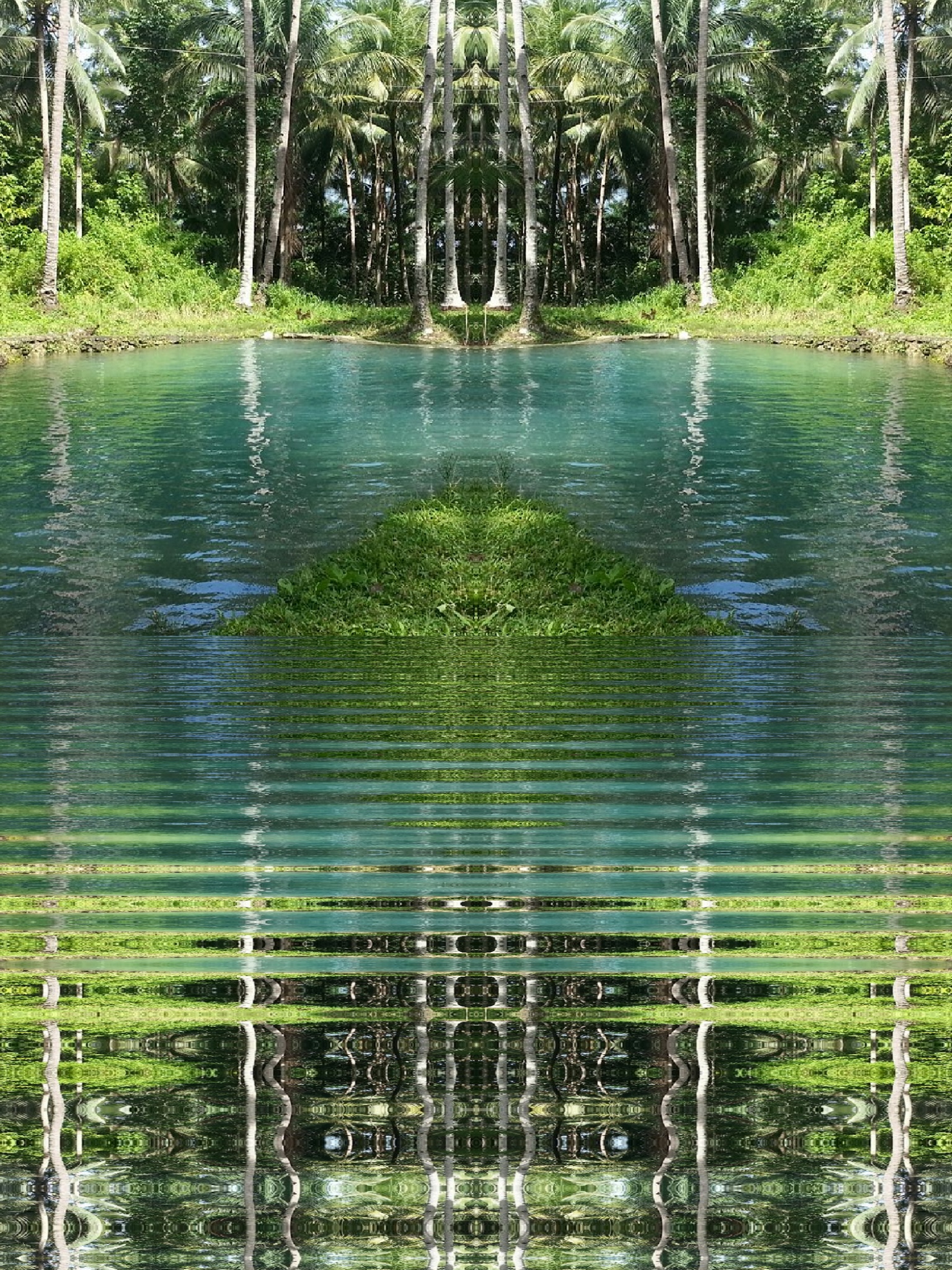 image%3A248839_mirror2.jpg