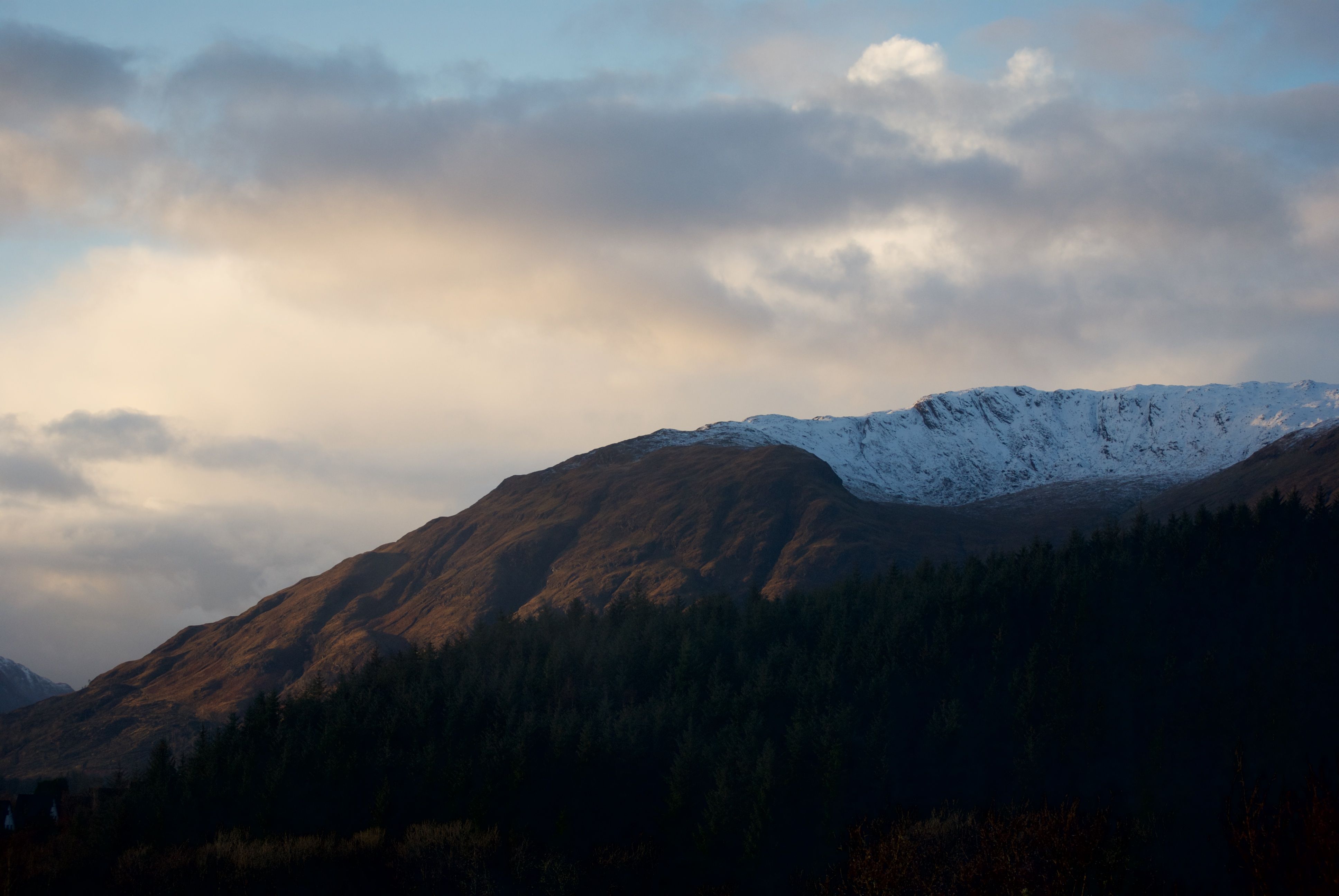 DSC_0168.jpg