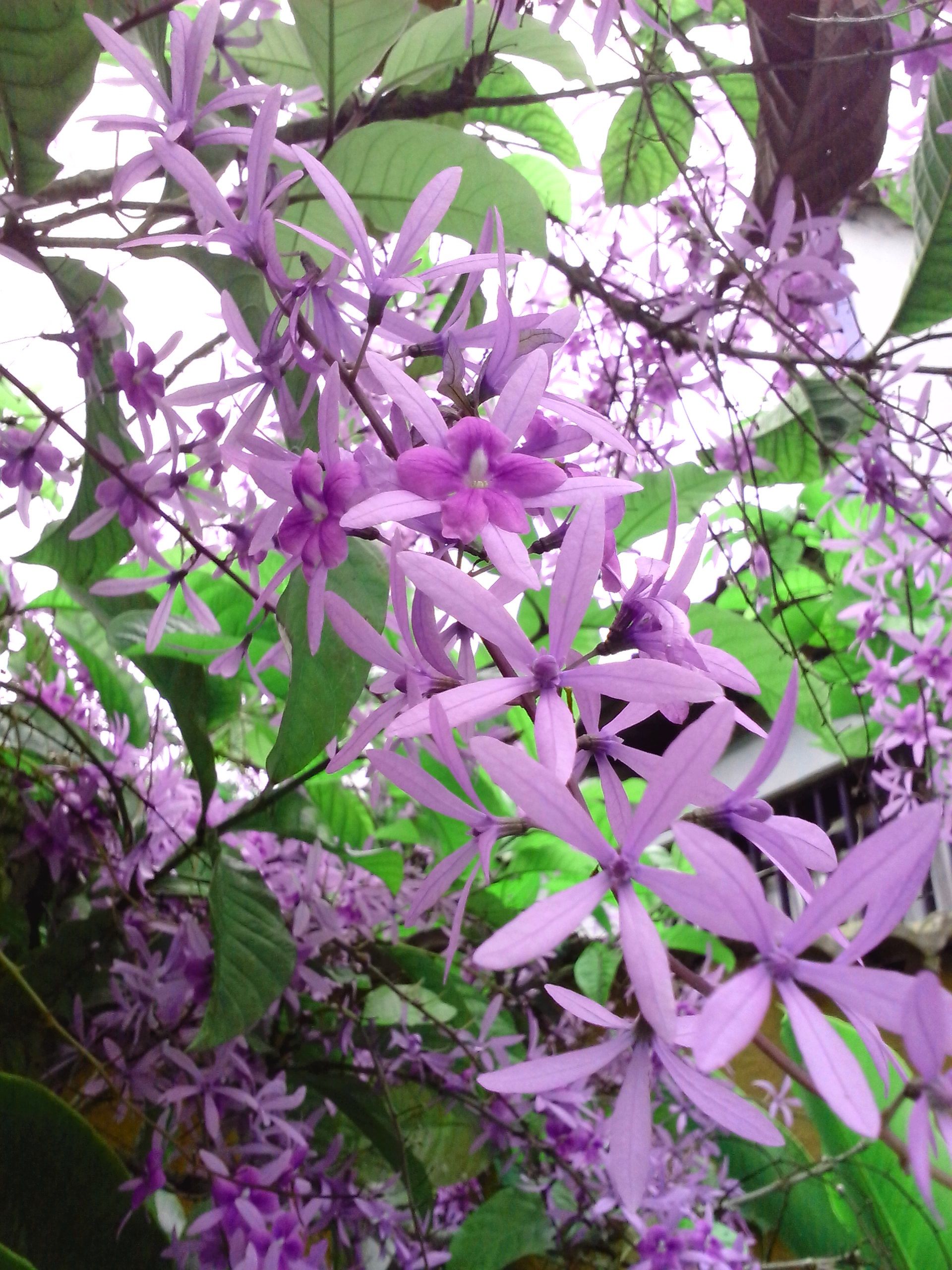 IMG_20140611_082613.jpg