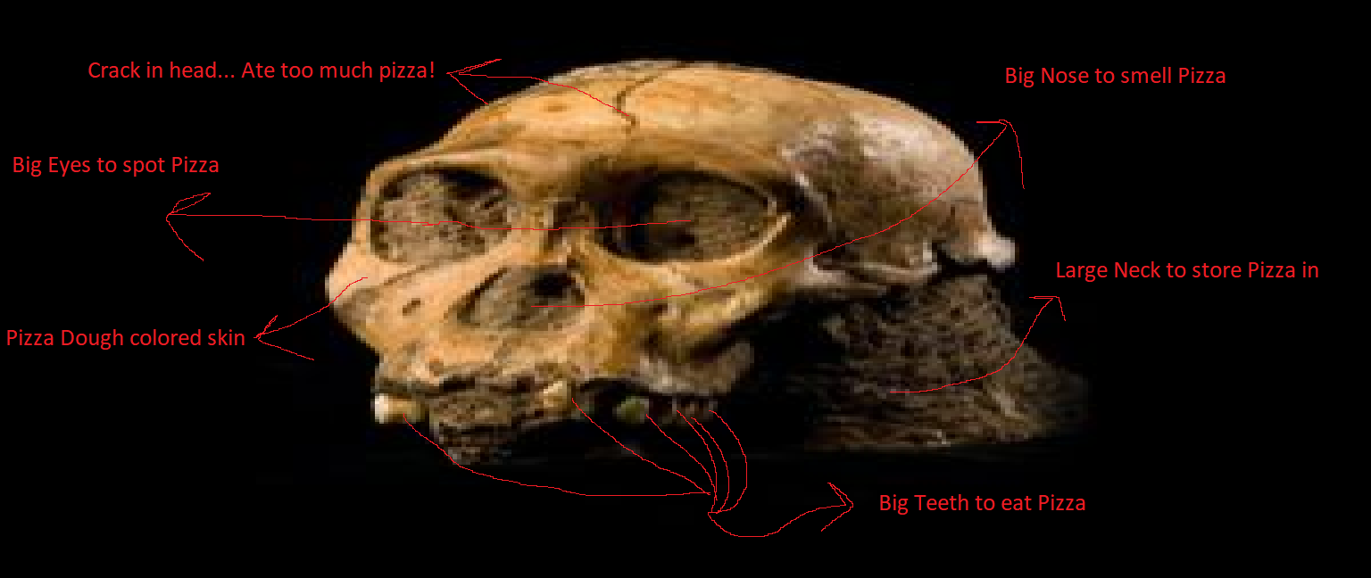 Ancient Apes ate Pizza!.png