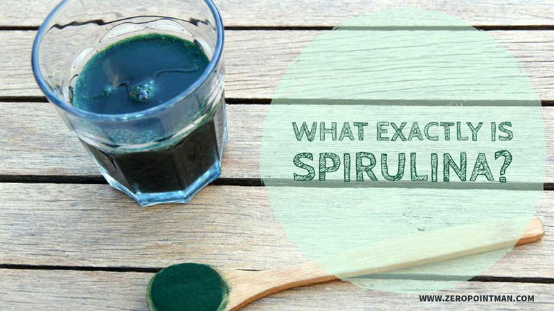 Spirulina800x450.jpg