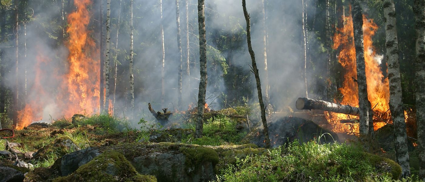 forest-fire-432870_1920-1400x600.jpg