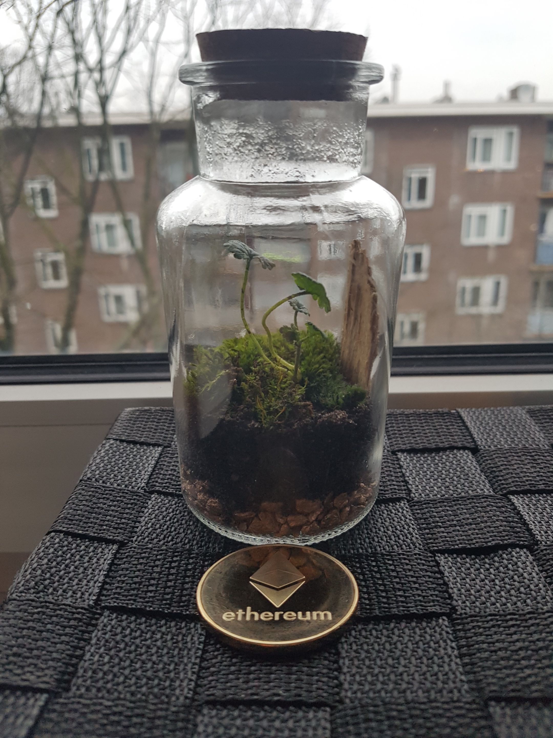 20180109_160035.jpg