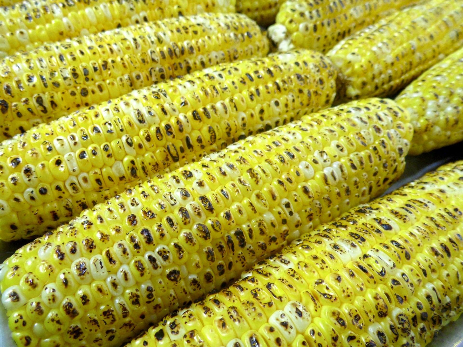 corn-142206_1920.jpg