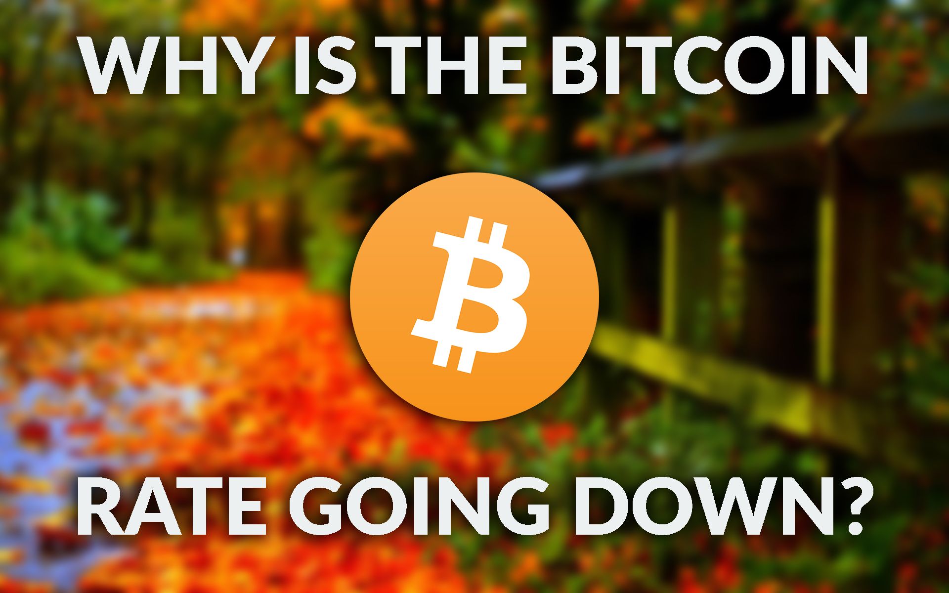 whybitcoin.jpg