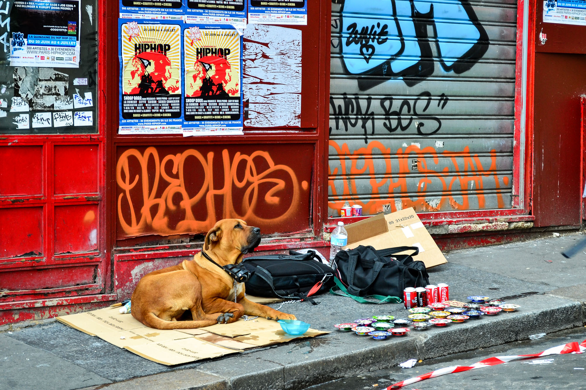 DSC_0190 red2.jpg