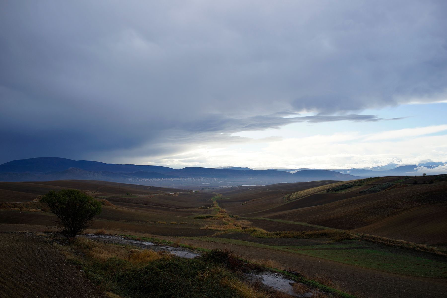 _DSC0276.JPG