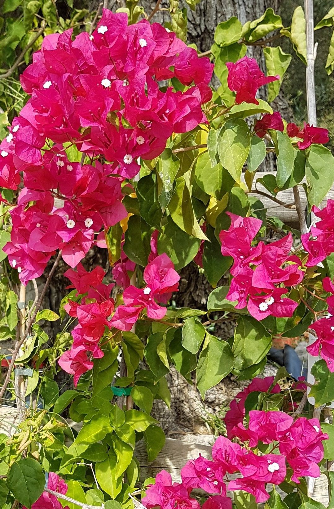20180121_203229.jpg