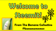 Welcome to Steemit191x105.png