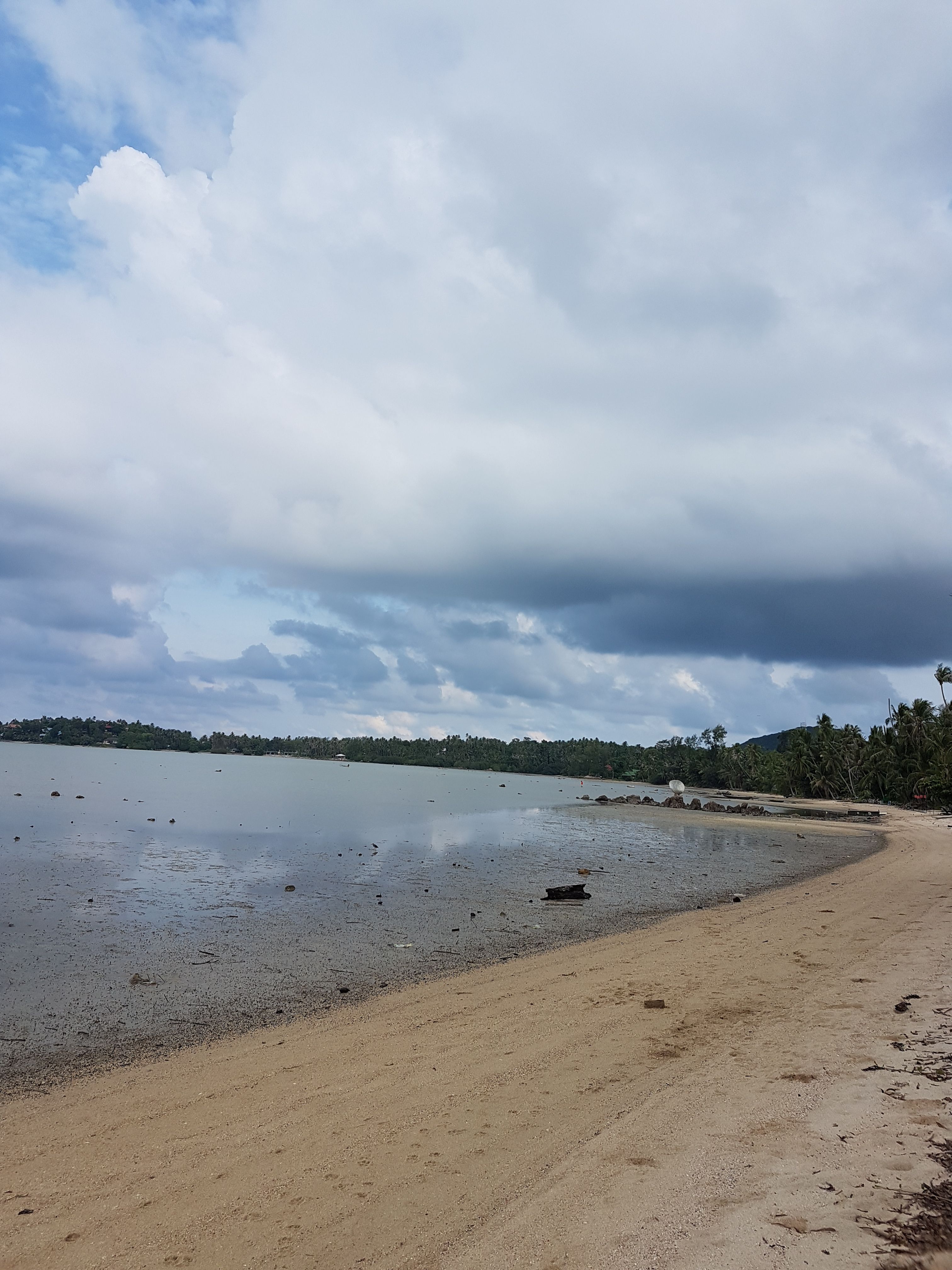 20170910_085435.jpg