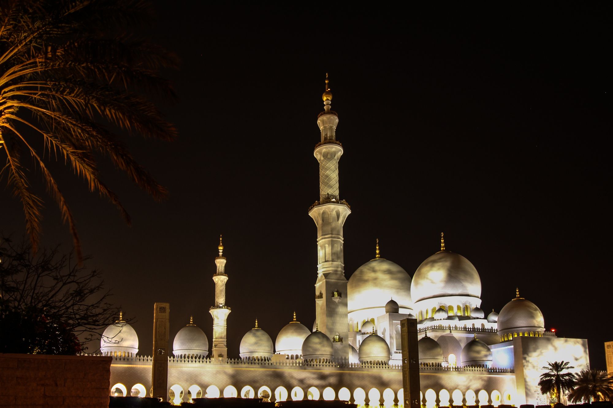 grand-mosque-with-palm.jpg