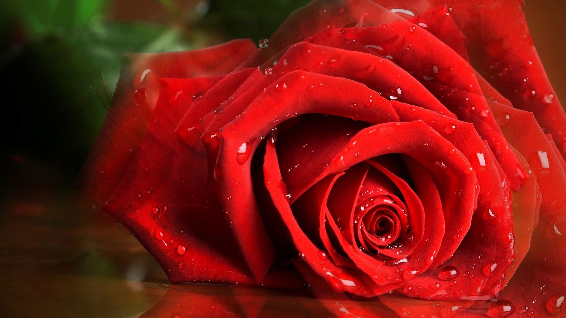 今日乱翻书之——爱情故事买椟还珠| 月旦评 | 品乐书会