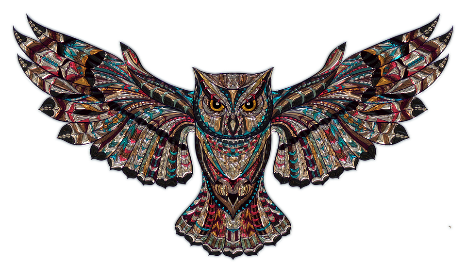 owl-1791700_960_720.png