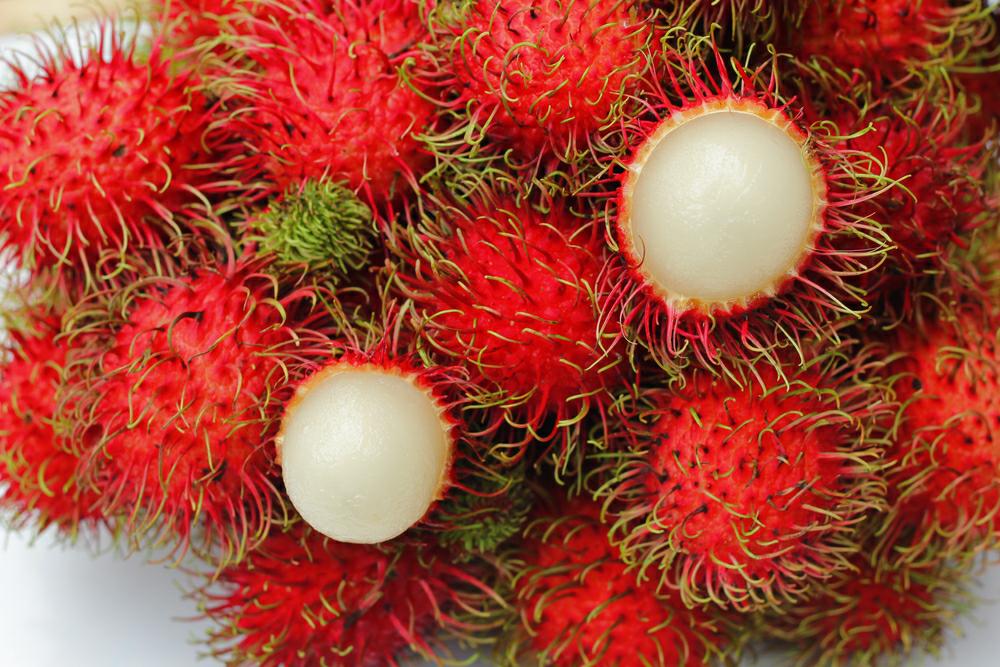 biji_benih_buah_rambutan_super.jpg