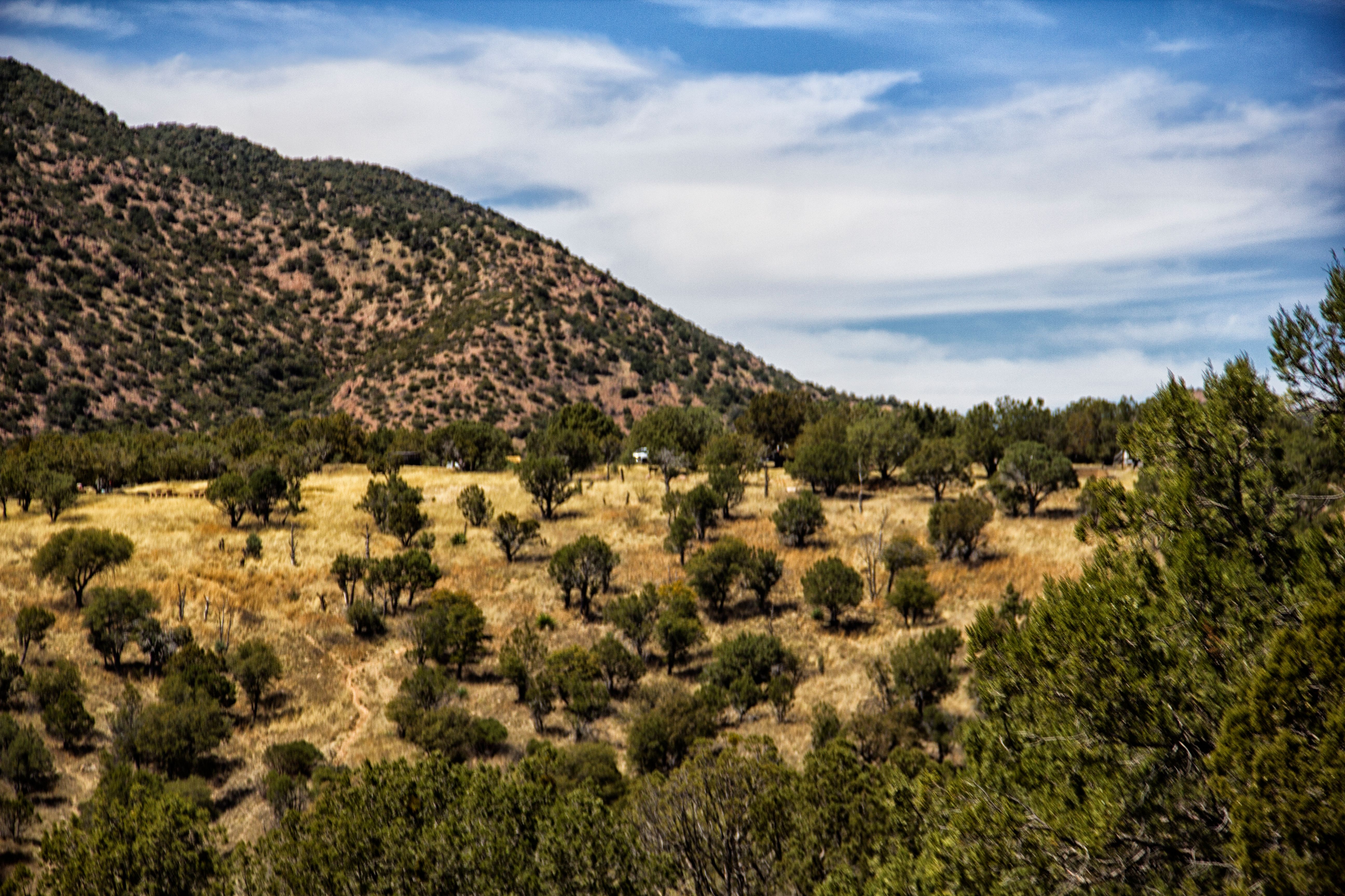 TheCanyon.jpg