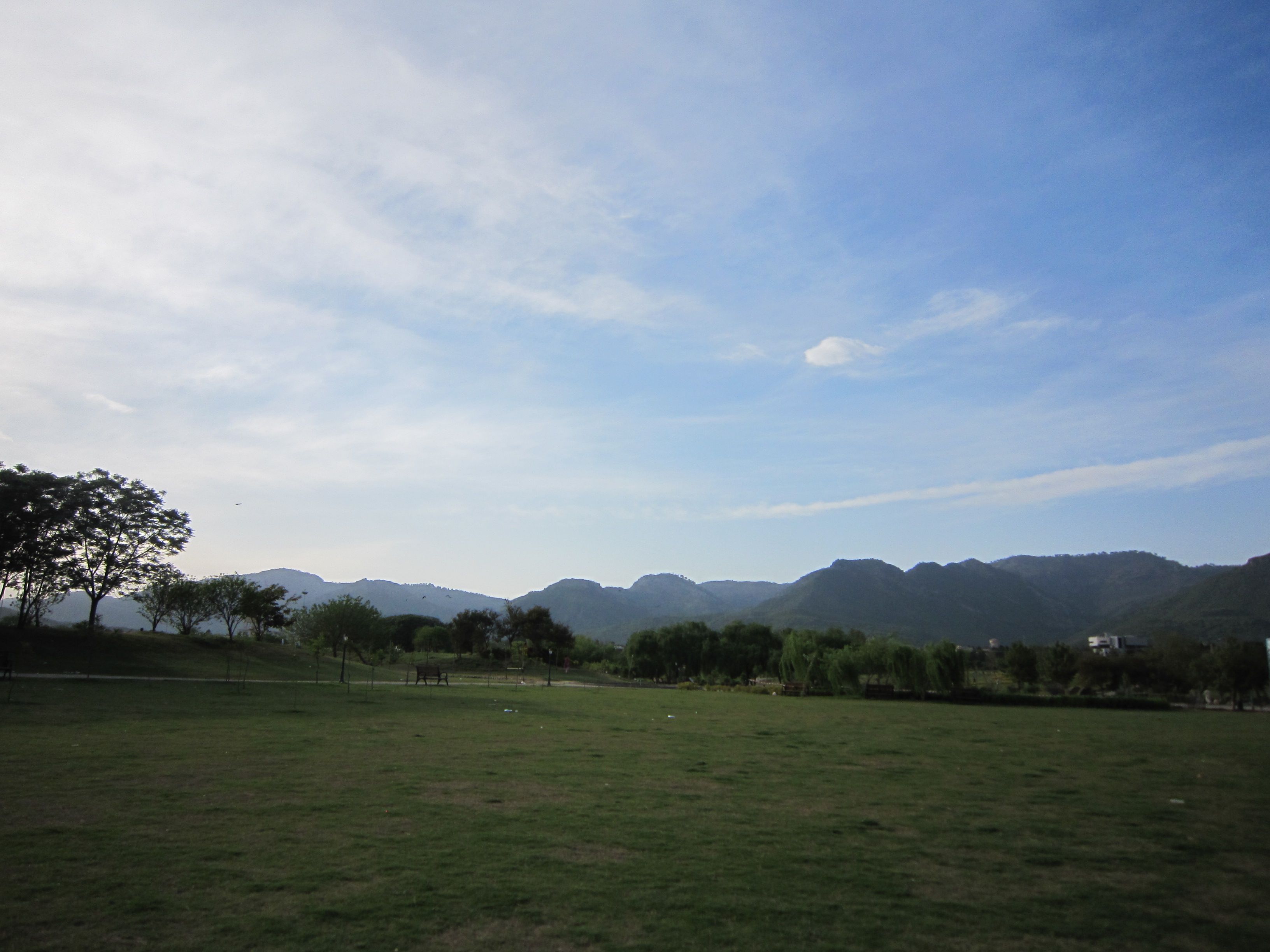 2011--4-24公园 (10).jpg