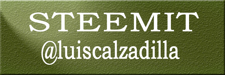 Luis-Steemit.png