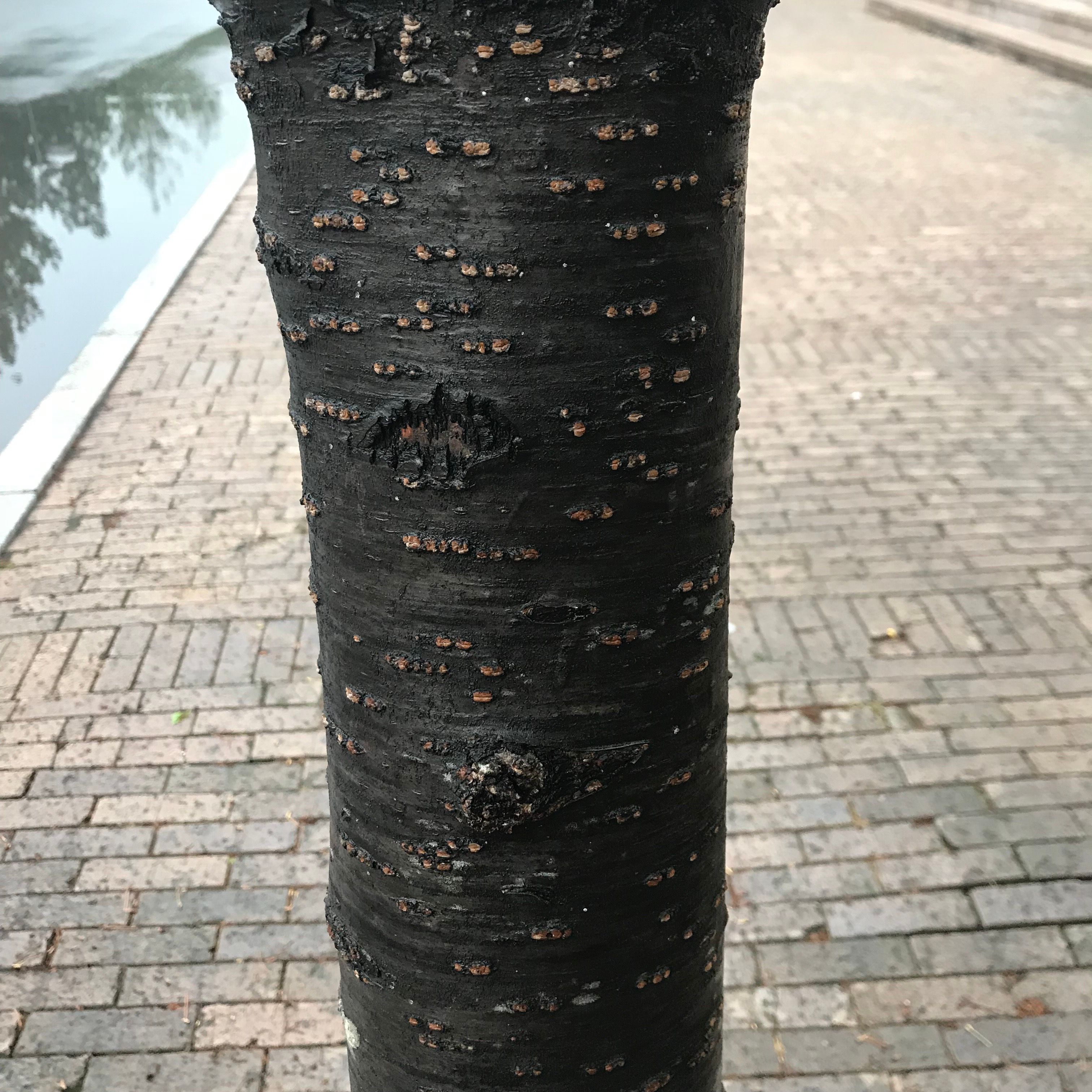 KakaoTalk_20180502_230707250.jpg
