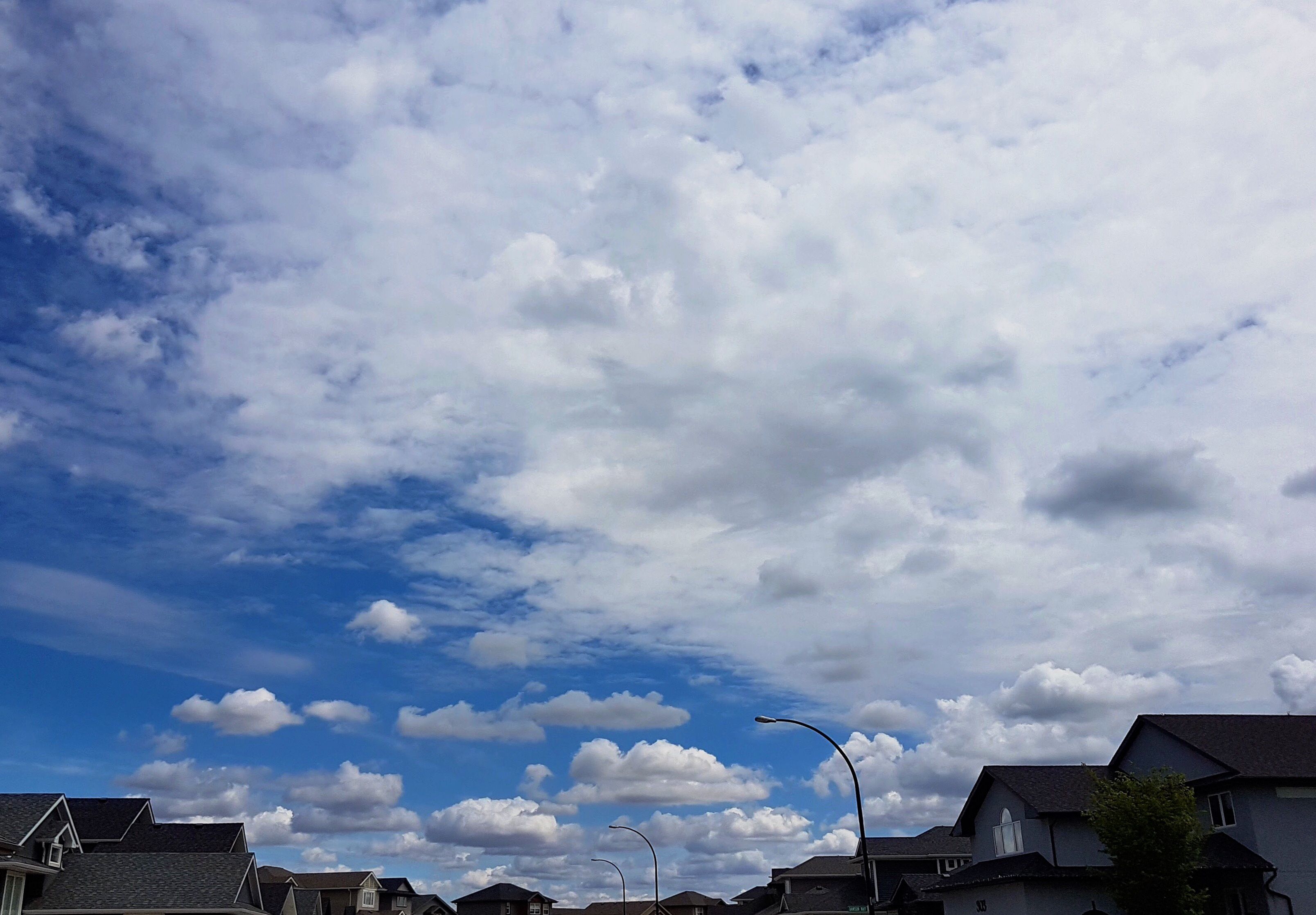 B9152B88-46CD-492F-831F-24B1E8144C47.JPG