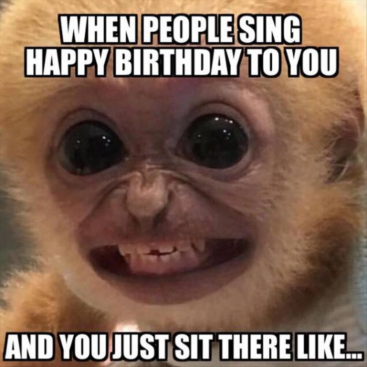 c2c20eeadda4f535c61c5ca16ec77099--funny-happy-birthdays-pictures-of.jpg