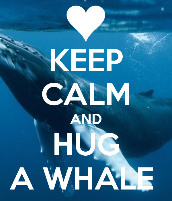 keep-calm-and-hug-a-whale-1-1.png
