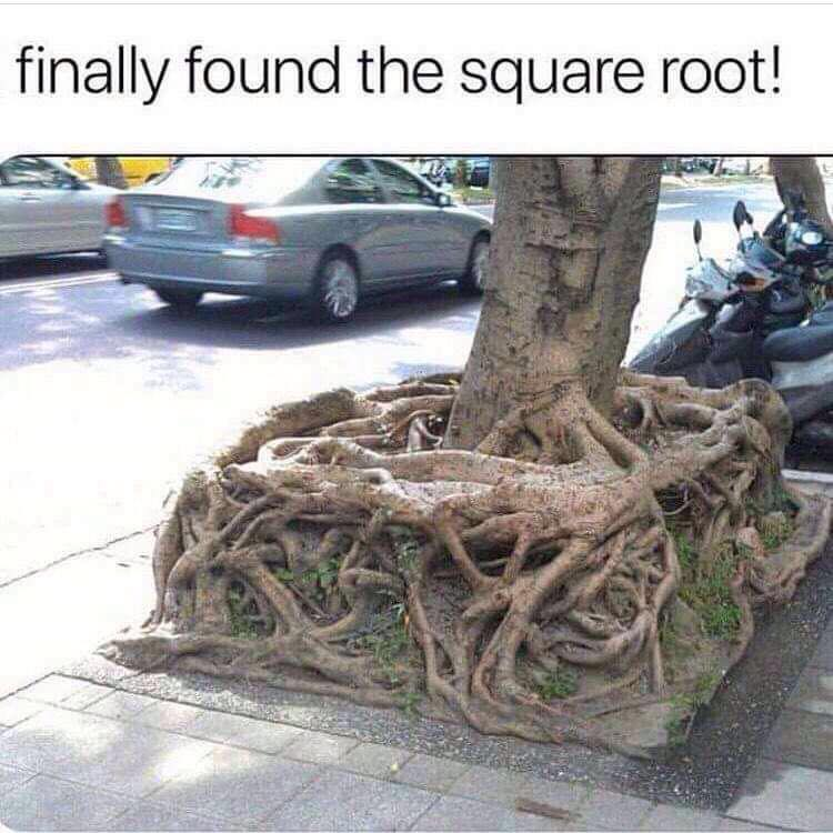 meme square root.png