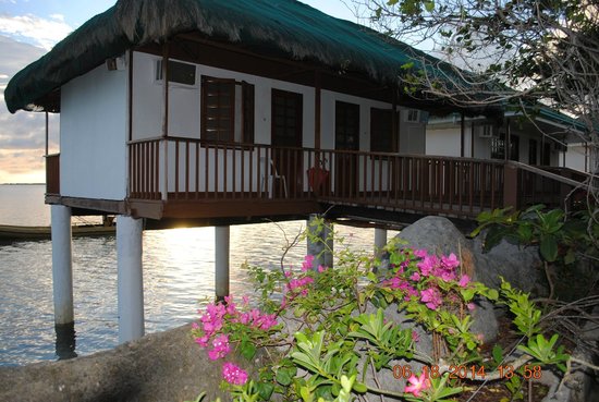 nalusuan-island-resort.jpg