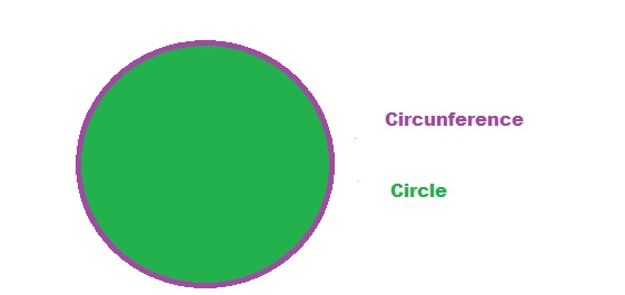 el-círculo-circulo-y-circuenferencia2.jpg