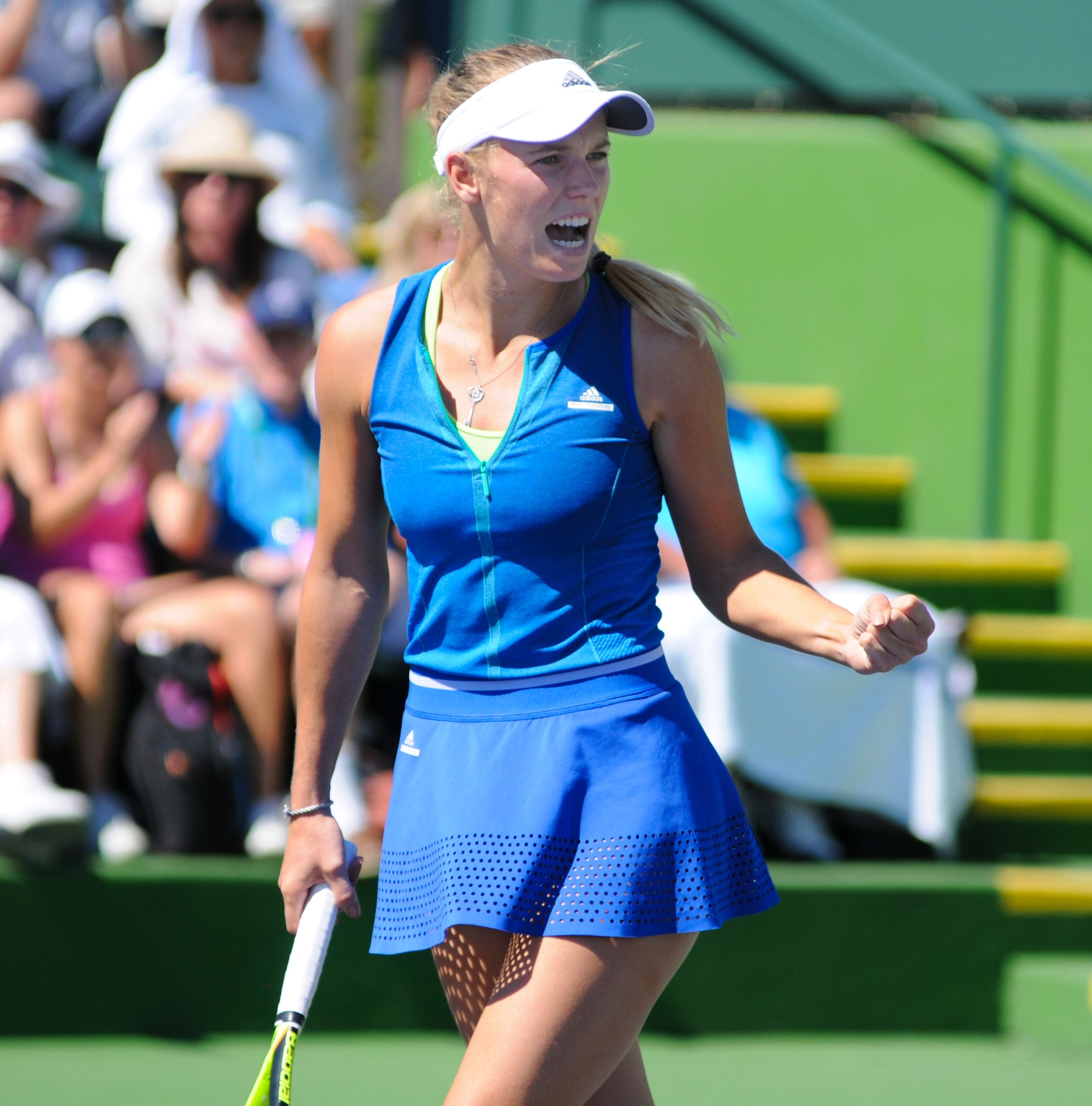 Caroline_Wozniacki_2017.jpg