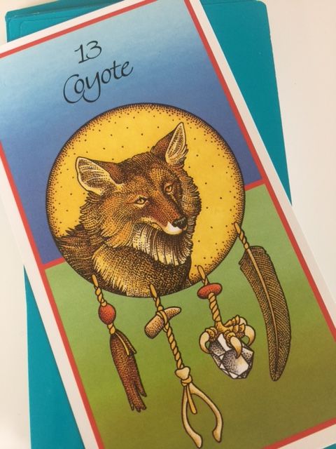 coyote medicine card.JPG