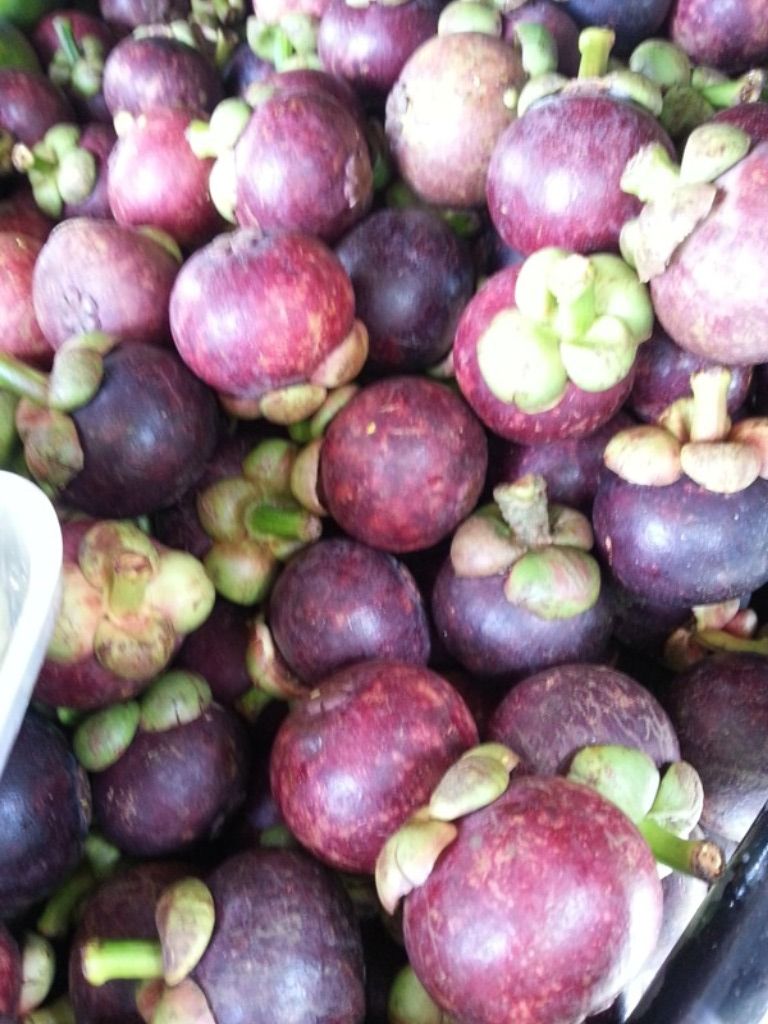 mangosteen1.jpg