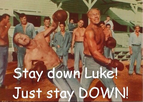 stay down luke just stay down.jpg