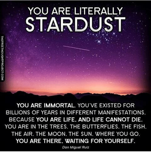 you-are-literally-stardust-you-are-immortal-you-ve-existed-12204035.png