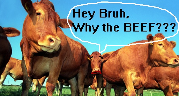 WhyBEEF.jpg