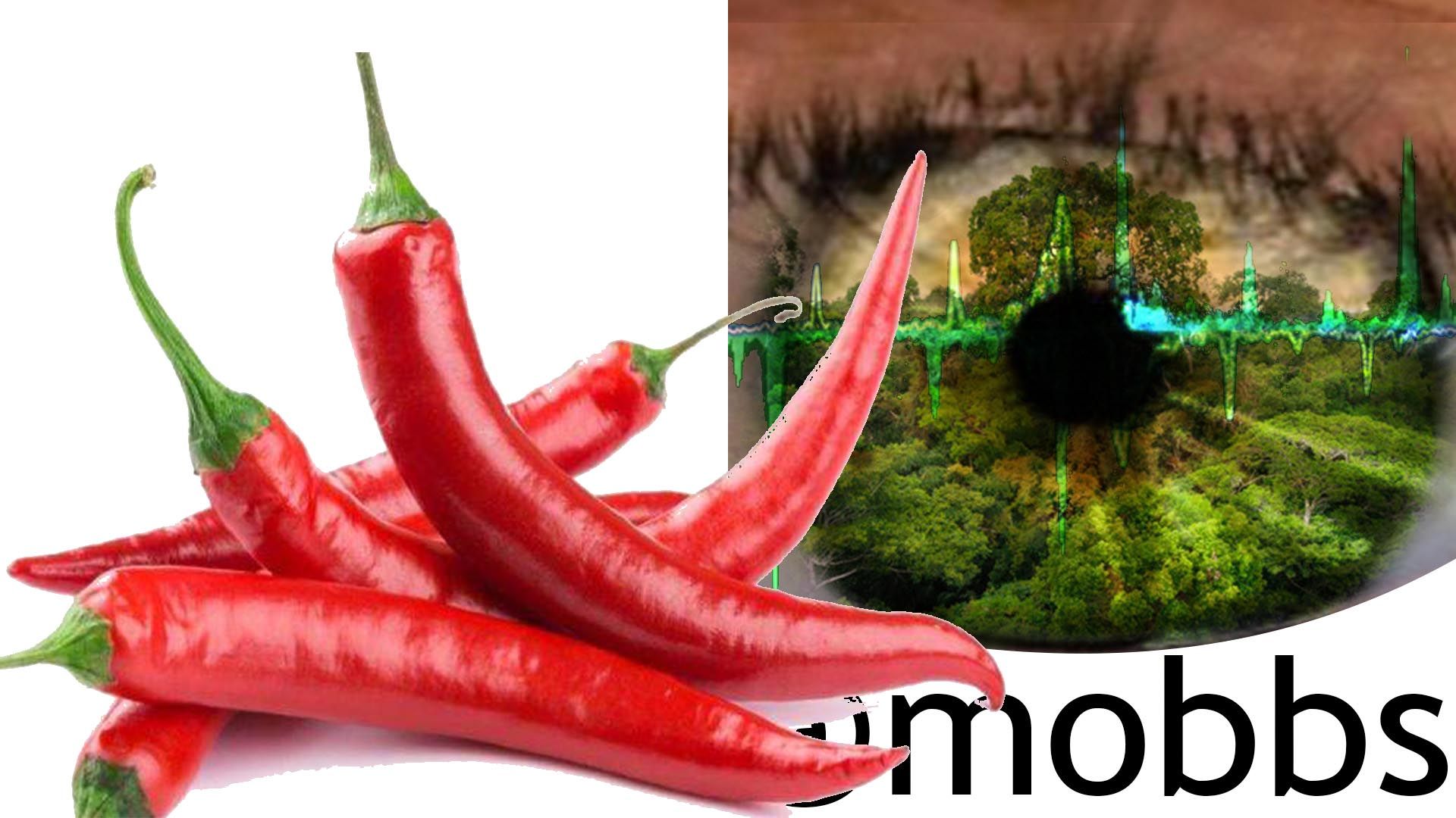 peppers.jpg