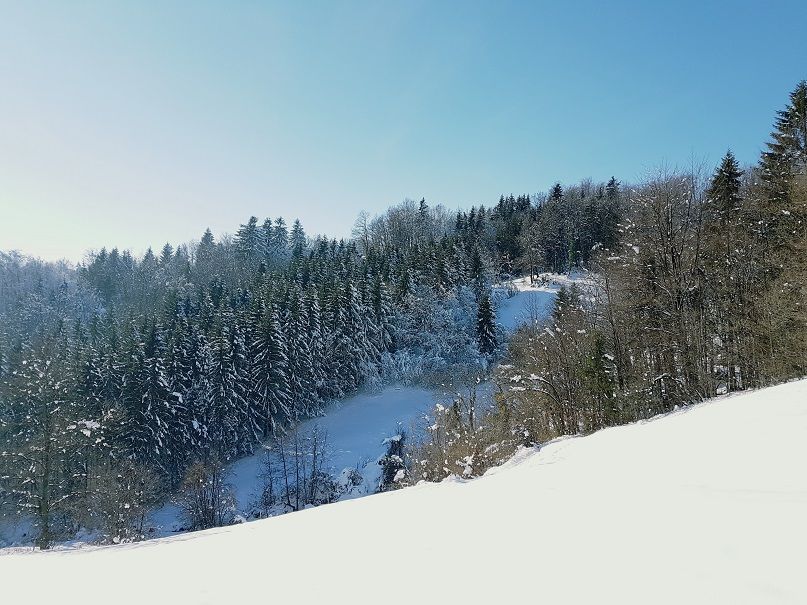 20180204_133113.jpg