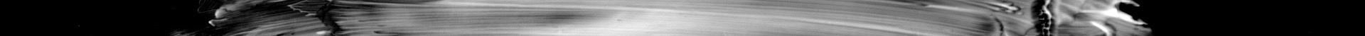 monochrome-3104588_1920 2.jpg