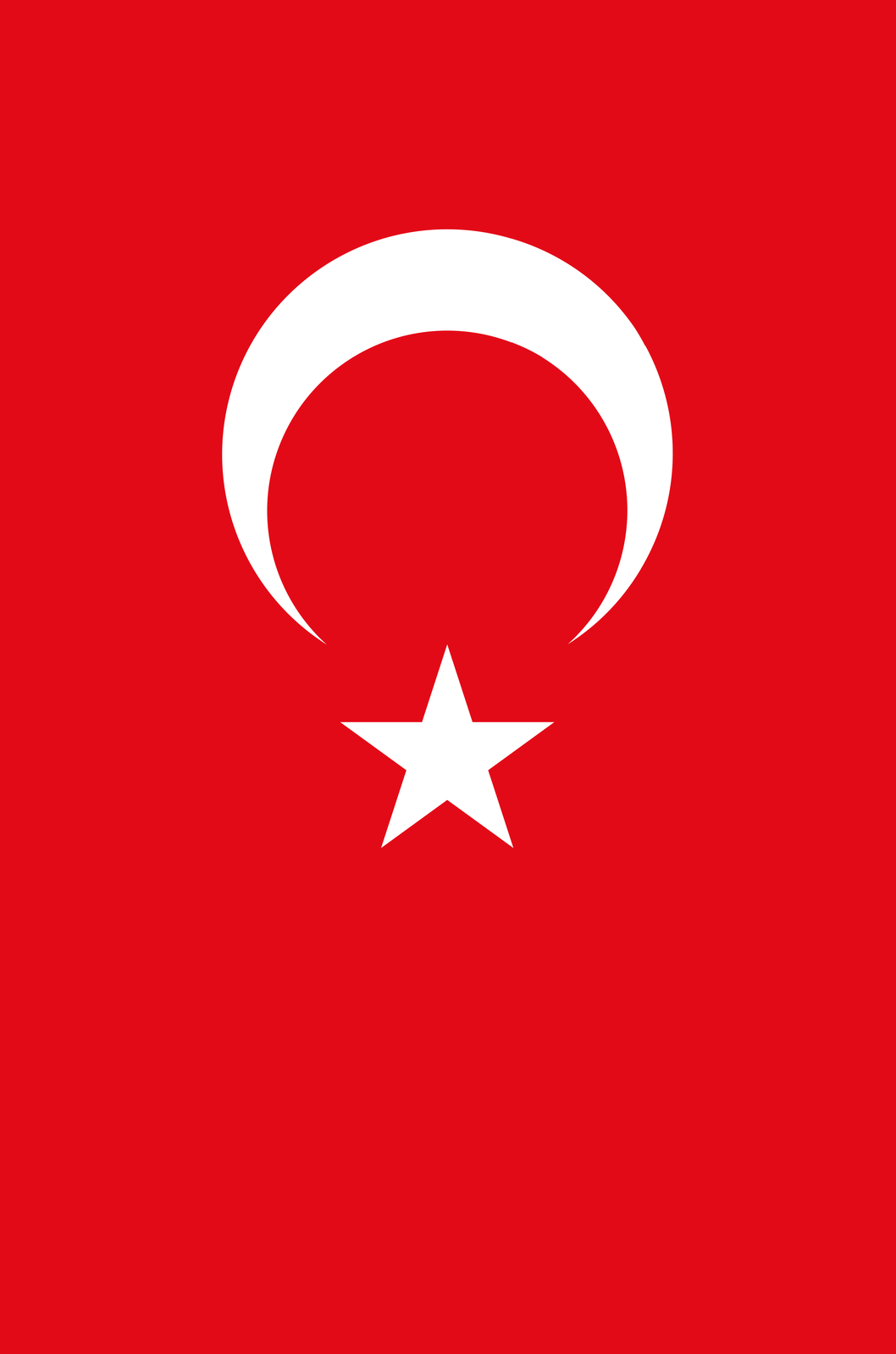 Flag_of_ParaTurkey.png