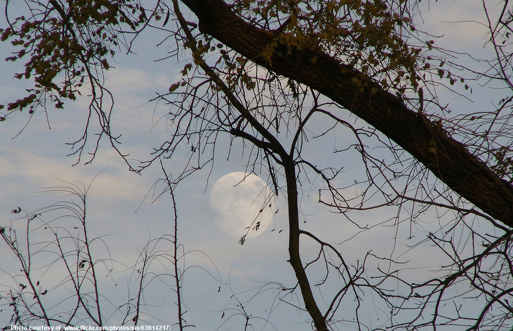 Moon-001-041817.jpg