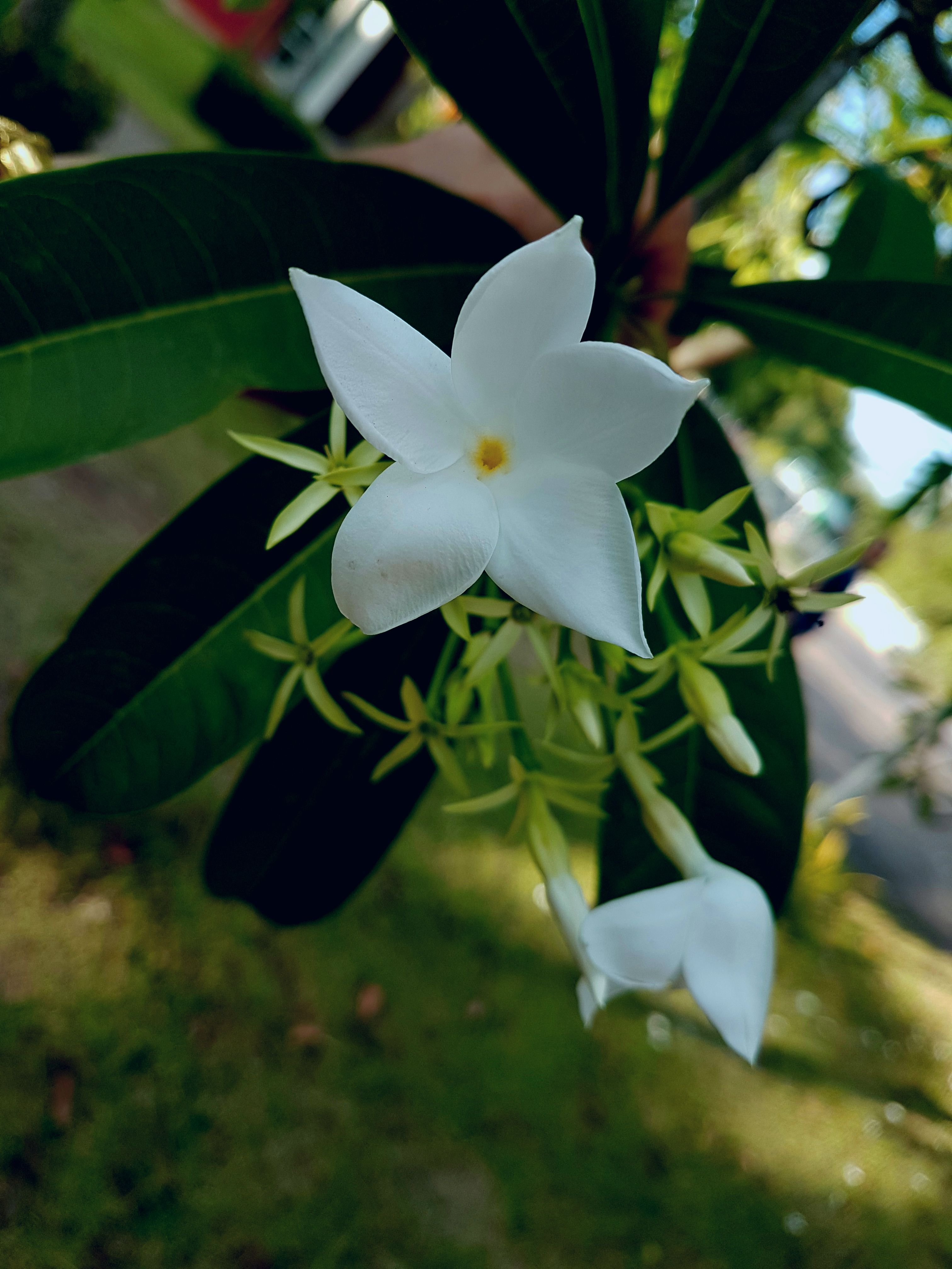 20180307_175222.jpg