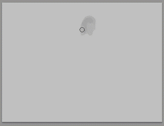 Process.gif